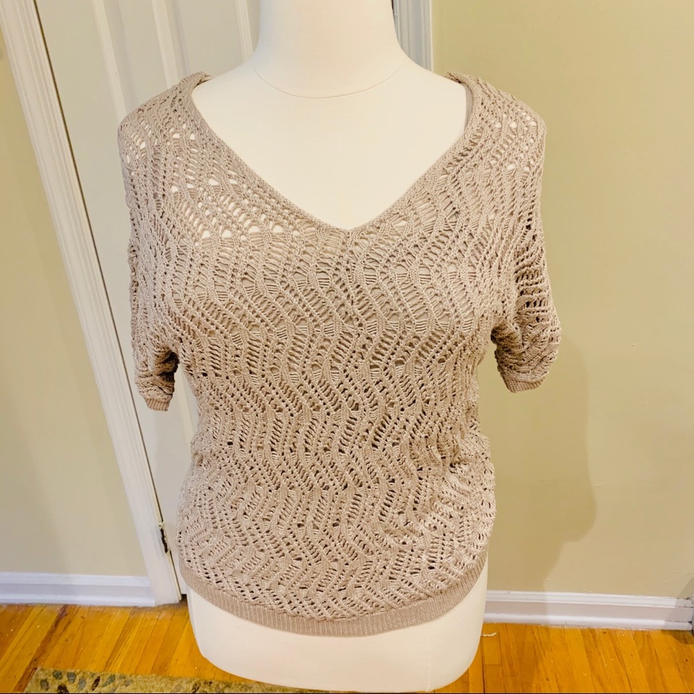 Sale 🌷 Dana Buchman Brown Sparkle Top
